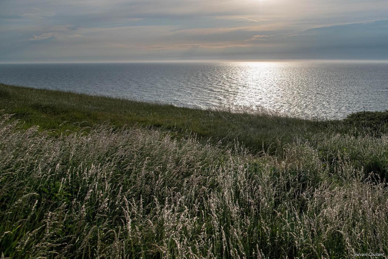 Villa La Precieuse En Front De Mer Woignarue Kültér fotó