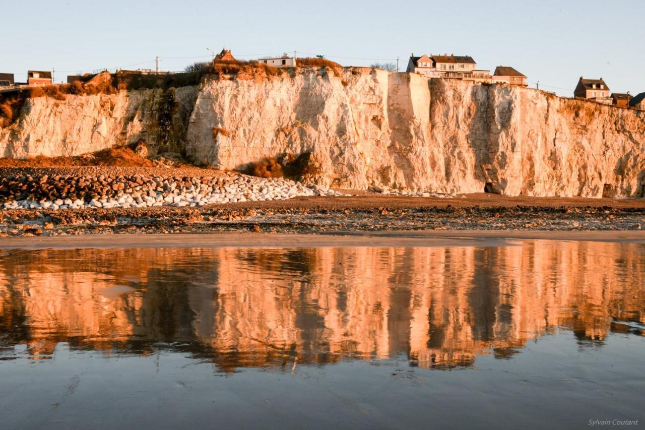 Villa La Precieuse En Front De Mer Woignarue Kültér fotó
